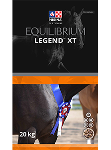Equilibrium Legend XT