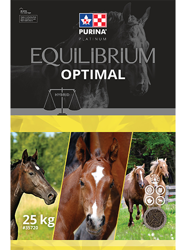 Purina Canada Equilibrium Optimal