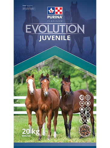 Purina Canada Evolution Juvenile
