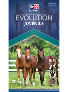 Purina Canada Évolution Juvénile